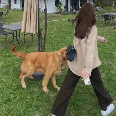 休闲 剧照